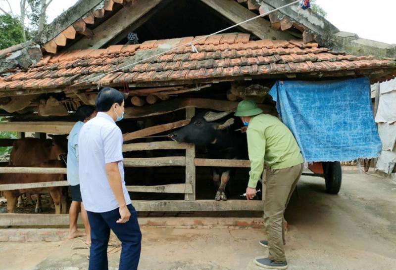 Tiêm phòng gia cầm