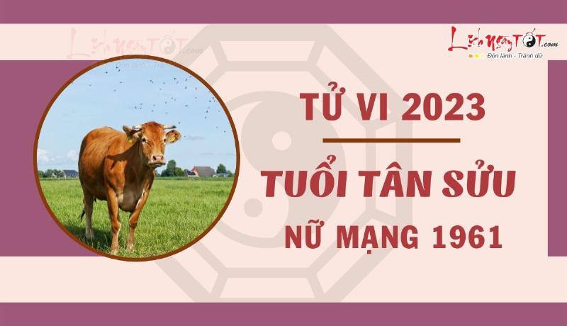 Tử vi Ất Sửu nữ mạng 2023 lời khuyên chuyên gia