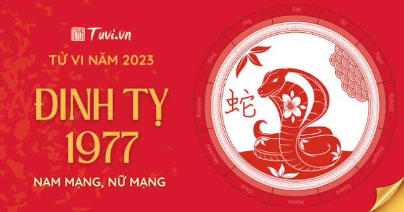 Tử vi Đinh Tỵ 2023 Phát Triển Bản Thân