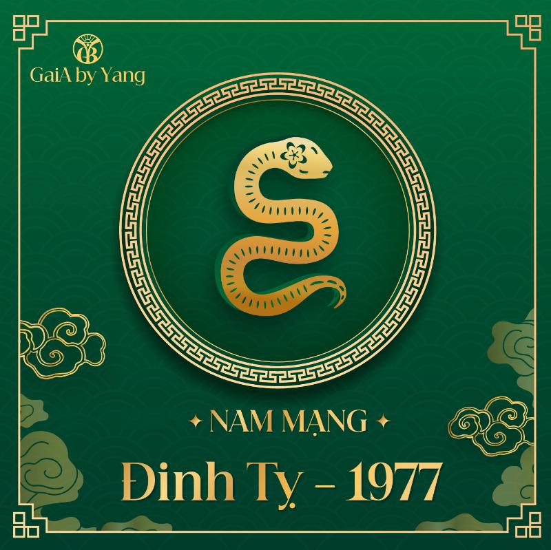 Tử Vi Nam Mạng Đinh Tỵ