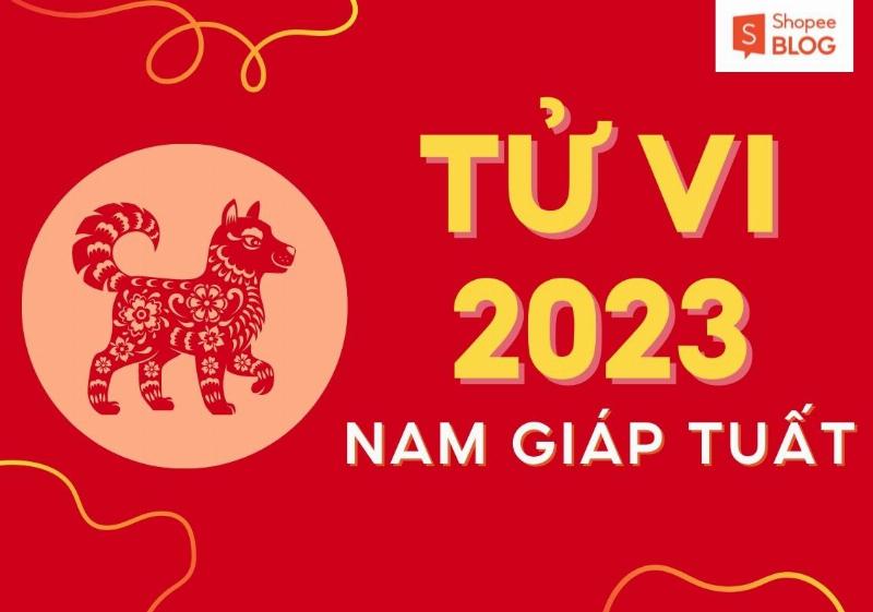 Tử Vi Giáp Tuất 2023 Nam Mạng: Sao Chiếu Mệnh