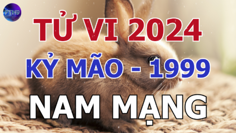 Tử Vi Mão 1999 Nam Mạng Phong Thủy