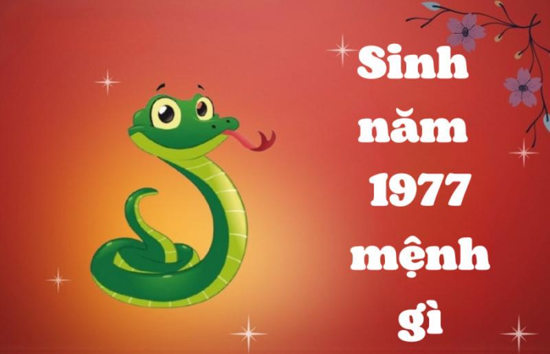 Phong thủy tử vi nữ mạng 1977 năm 2023