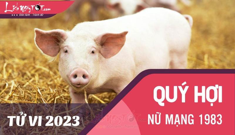 Tử vi Quý Hợi nữ mạng lời khuyên 2023