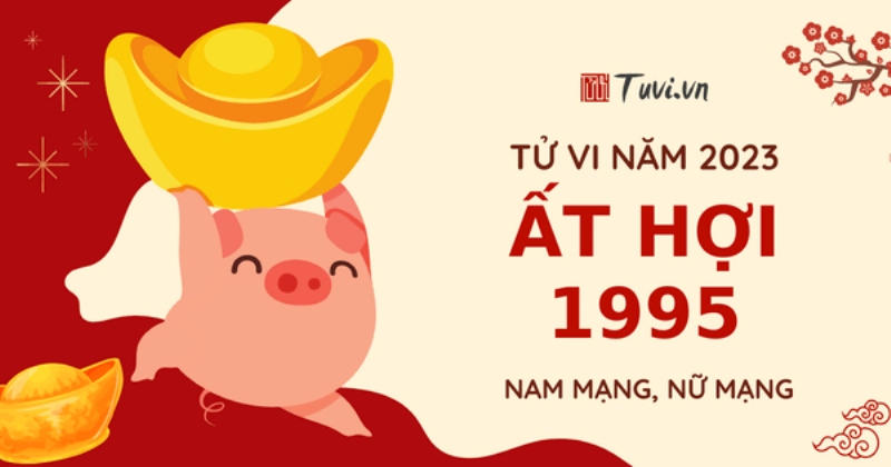 Tử Vi Sự Nghiệp Hợi 1995 Nam 2023