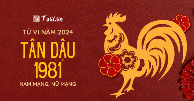 Tử vi Tân Dậu 1981 năm 2024 tổng quan