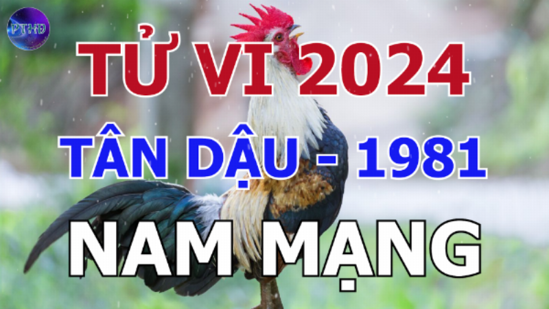 Tử vi tuổi Tân Dậu năm 2024 nam mạng - Công việc