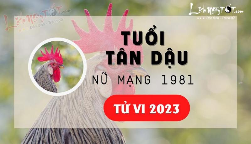 Tử vi Tân Dậu nữ mạng 2023 hàng tháng