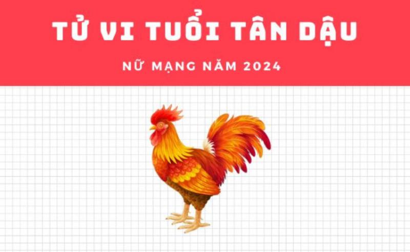 Tử vi Tân Dậu nữ mạng 2023 so sánh