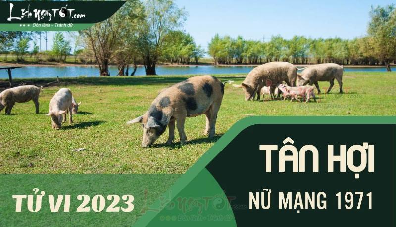 Tử vi tuổi Tân Hợi 1971 nữ năm 2023