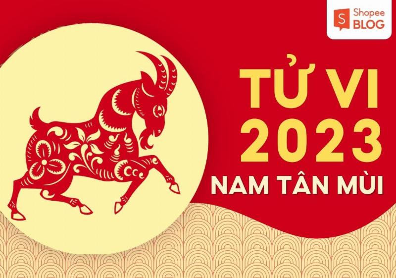 Tử vi Tân Mùi 1991 nam mạng sức khỏe 2023