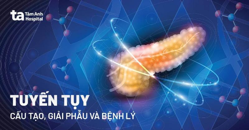 Bài Giảng Viêm Tụy Cấp: Kiến Thức Trọng Tâm Từ A Đến Z