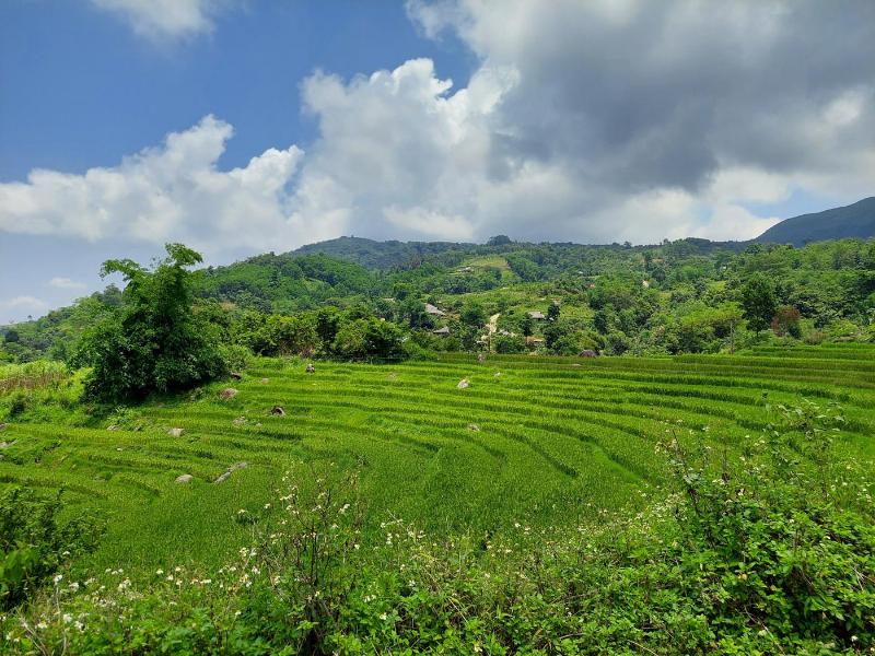 Hinh anh cau truc mai go truyen thong vat lieu xay dung thien nhien