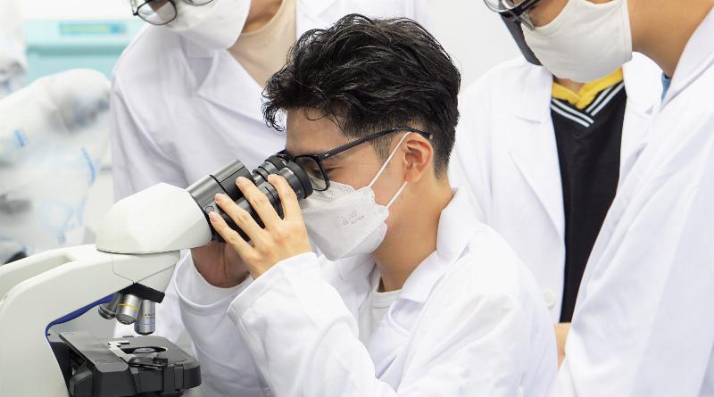 Thám hiểm Thế giới Vi Sinh Vật Y Học: Từ Kháng Sinh Đến Liệu Pháp Tiên Tiến