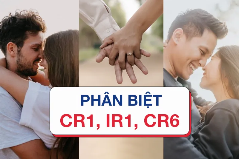 Phân tích cung phi của vợ và chồng