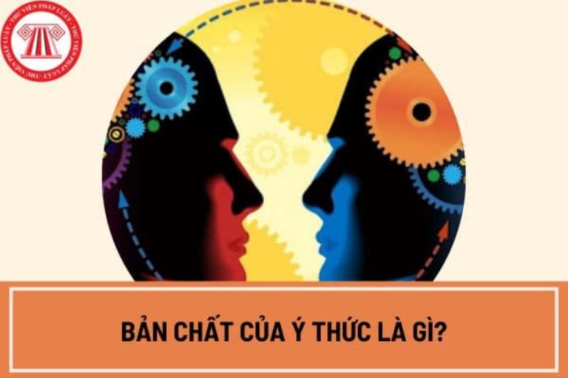 Hinh anh y thuc chi dao hoat dong thuc tien cua con nguoi